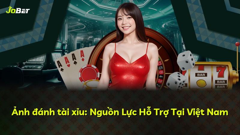 Ảnh đánh tài xỉu: Nguồn Lực Hỗ Trợ Tại Việt Nam