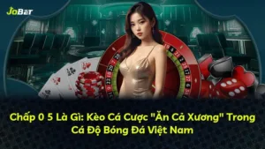 Chấp 0 5 Là Gì: Kèo Cá Cược “Ăn Cả Xương” Trong Cá Độ Bóng Đá Việt Nam
