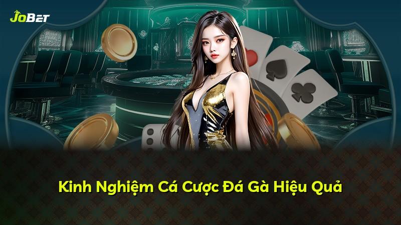 Kinh Nghiệm Cá Cược Đá Gà Hiệu Quả