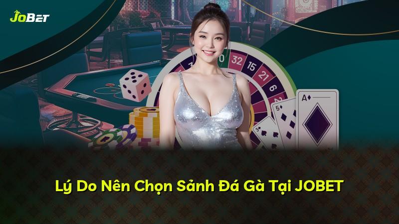 Lý Do Nên Chọn Sảnh Đá Gà Tại JOBET